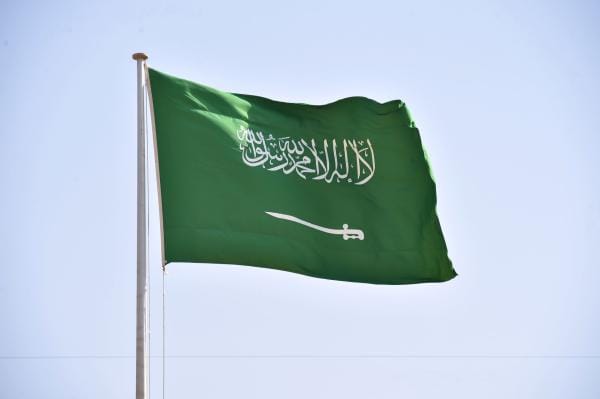 علم المملكة