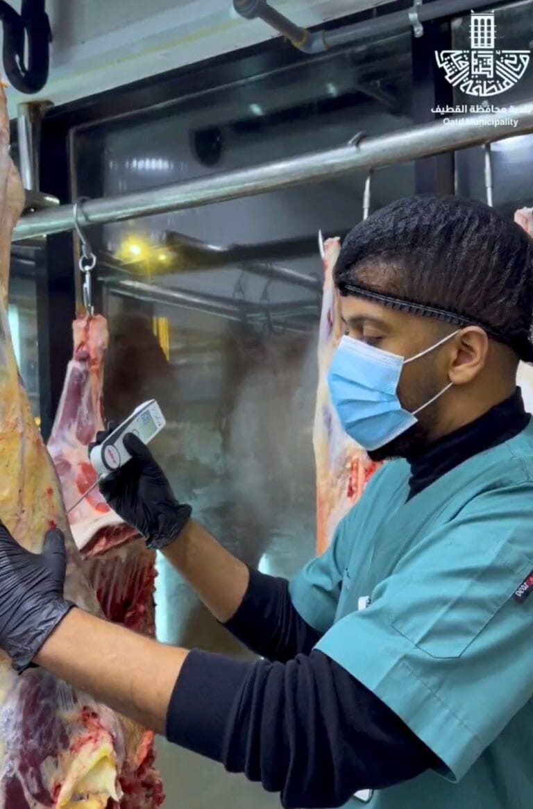 بلدية القطيف تفتيش